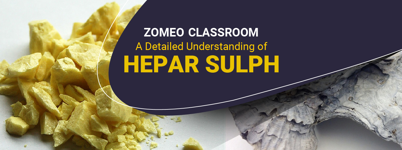  A Detailed Understanding of Hepar Sulph